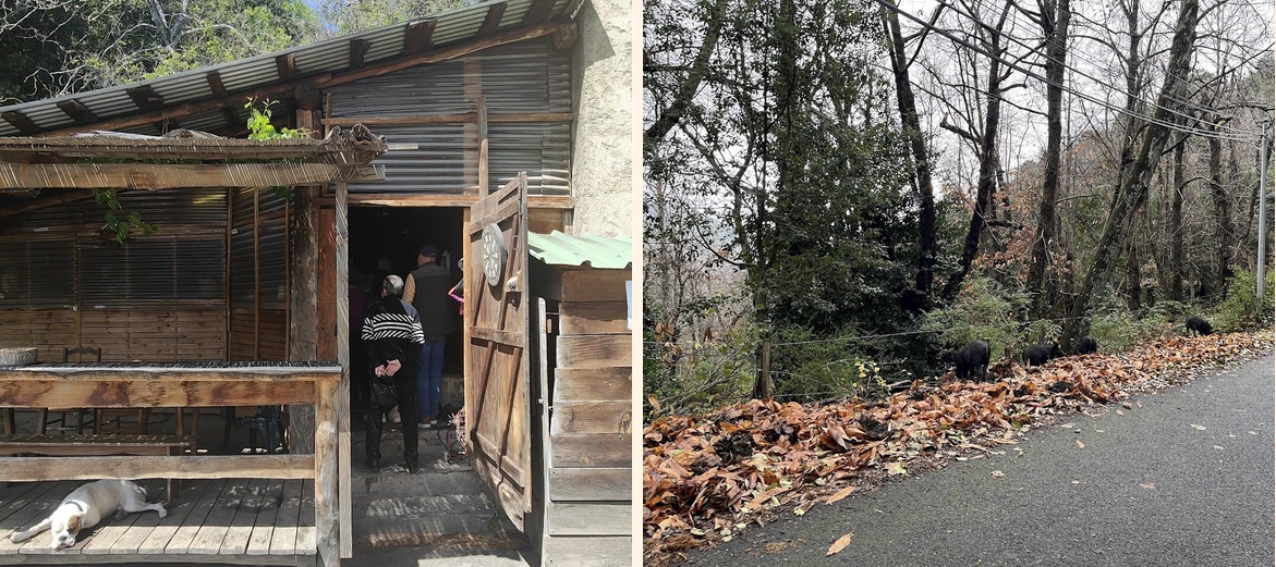 Carne Purcina di Lutina - Menu Image 1