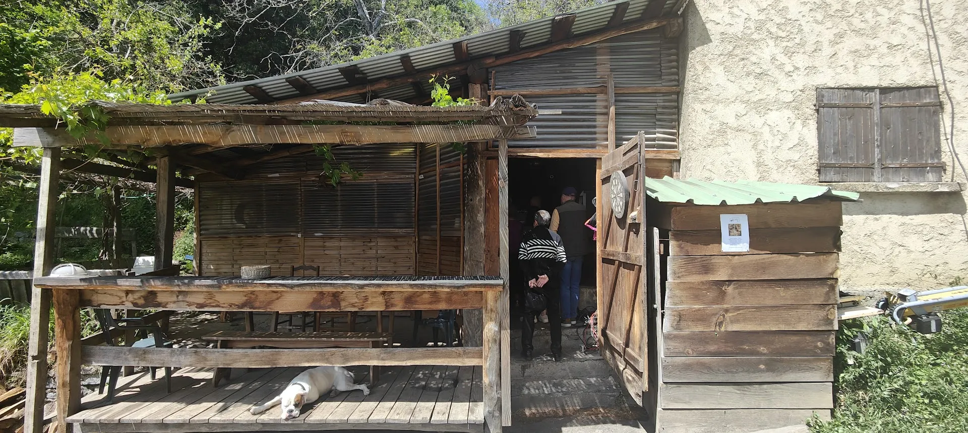 Carne Purcina di Lutina